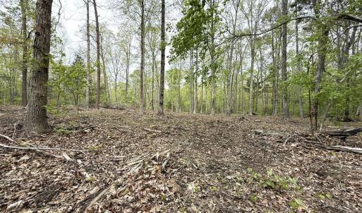 Photo #36 of Off Stoneridge Drive, Lot 5, Stem, NC 23.9 acres