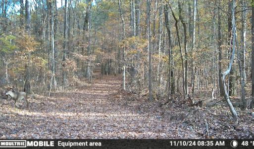 Photo #37 of Off Stoneridge Drive, Lot 5, Stem, NC 23.9 acres