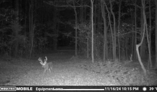 Photo #38 of Off Stoneridge Drive, Lot 5, Stem, NC 23.9 acres