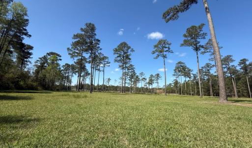 Photo #14 of Off Bailey Pointe Drive, Lot 83, Belhaven, NC 1.8 acres