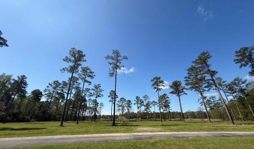 Photo #15 of Off Bailey Pointe Drive, Lot 83, Belhaven, NC 1.8 acres