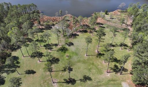 Photo #5 of Off Bailey Pointe Drive, Lot 83, Belhaven, NC 1.8 acres