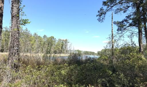 Photo #17 of Off Davis Lane, Lot 18, Belhaven, NC 3.0 acres