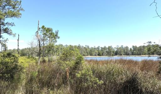 Photo #18 of Off Davis Lane, Lot 18, Belhaven, NC 3.0 acres