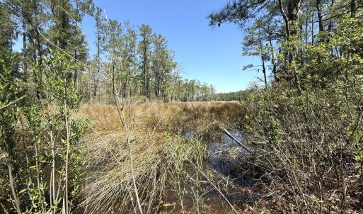 Photo #19 of Off Davis Lane, Lot 18, Belhaven, NC 3.0 acres