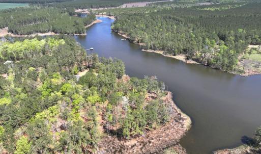 Photo #6 of Off Davis Lane, Lot 18, Belhaven, NC 3.0 acres
