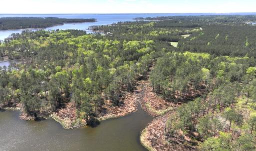 Photo #7 of Off Davis Lane, Lot 18, Belhaven, NC 3.0 acres