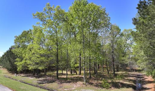 Photo #10 of Off Sunset Point Rd Lot 48, Belhaven, NC 1.7 acres