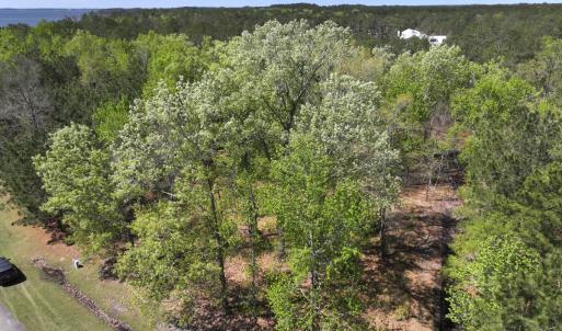 Photo #11 of Off Sunset Point Rd Lot 48, Belhaven, NC 1.7 acres