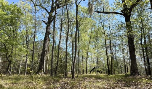 Photo #14 of Off Sunset Point Rd Lot 48, Belhaven, NC 1.7 acres