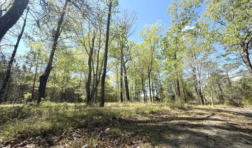 Photo #15 of Off Sunset Point Rd Lot 48, Belhaven, NC 1.7 acres