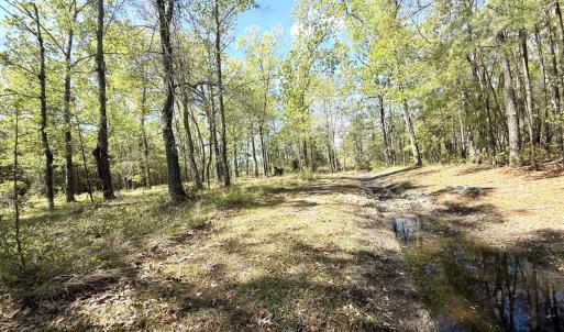 Photo #16 of Off Sunset Point Rd Lot 48, Belhaven, NC 1.7 acres