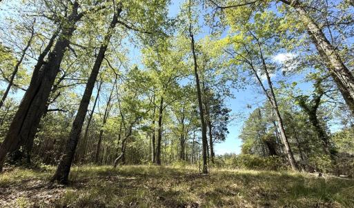 Photo #12 of Off Mixon Creek Rd Lot 5, Belhaven, NC 1.9 acres