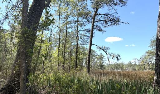 Photo #17 of Off Mixon Creek Rd Lot 5, Belhaven, NC 1.9 acres