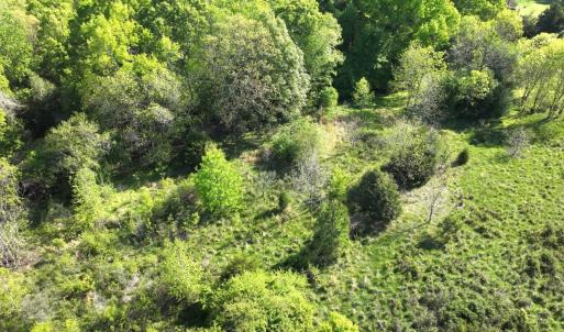 Photo #11 of Off Fentress Road, Robbins, NC 9.1 acres