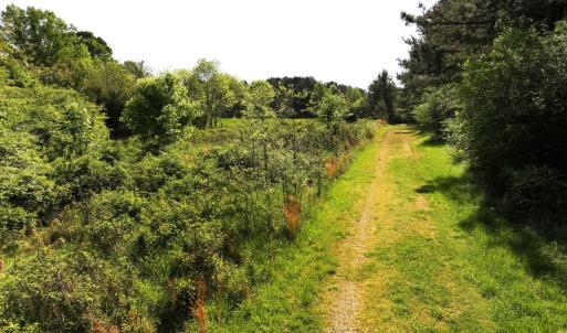 Photo #12 of Off Fentress Road, Robbins, NC 9.1 acres