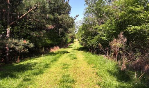 Photo #13 of Off Fentress Road, Robbins, NC 9.1 acres