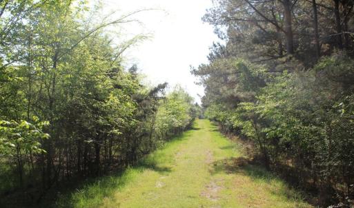 Photo #14 of Off Fentress Road, Robbins, NC 9.1 acres