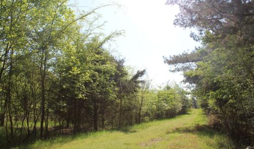 Photo #15 of Off Fentress Road, Robbins, NC 9.1 acres