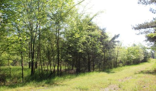 Photo #16 of Off Fentress Road, Robbins, NC 9.1 acres