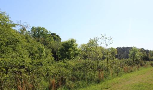 Photo #17 of Off Fentress Road, Robbins, NC 9.1 acres