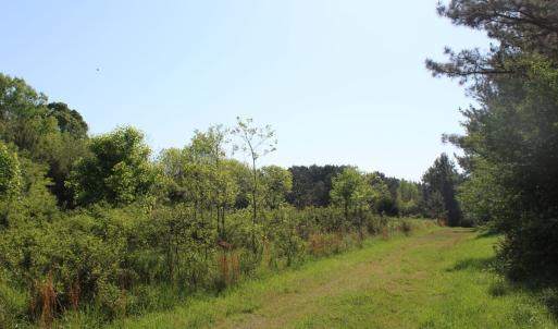 Photo #18 of Off Fentress Road, Robbins, NC 9.1 acres