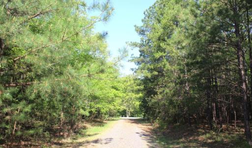 Photo #19 of Off Fentress Road, Robbins, NC 9.1 acres