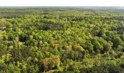 Photo #2 of Off Fentress Road, Robbins, NC 9.1 acres