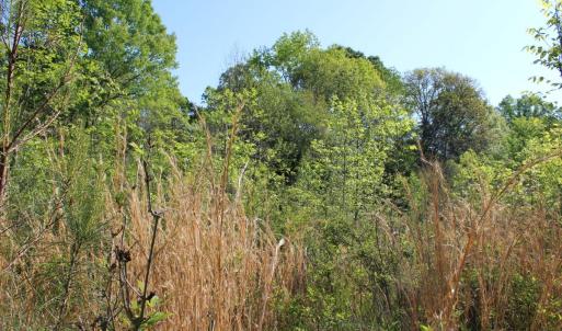 Photo #20 of Off Fentress Road, Robbins, NC 9.1 acres