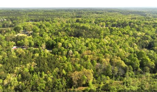 Photo #3 of Off Fentress Road, Robbins, NC 9.1 acres