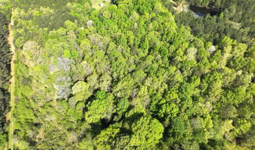 Photo #7 of Off Fentress Road, Robbins, NC 9.1 acres