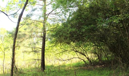 Photo #21 of Off Fentress Road, Robbins, NC 9.1 acres