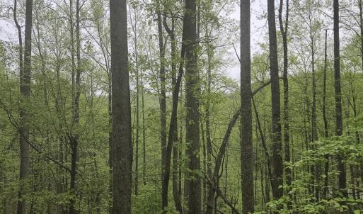 Photo #1 of Off Dots Dr, Charlottesville, VA 6.9 acres