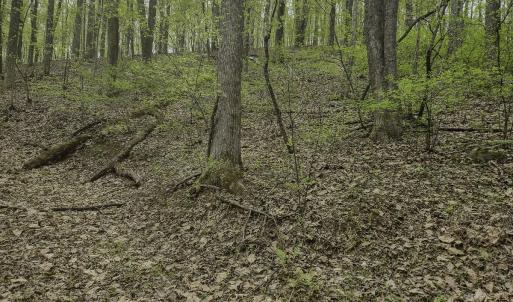 Photo #2 of Off Dots Dr, Charlottesville, VA 6.9 acres