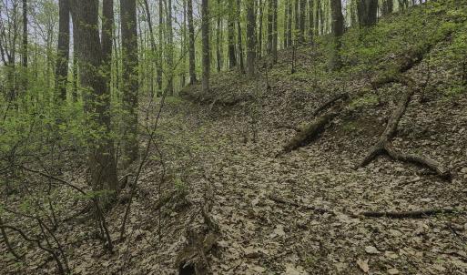 Photo #3 of Off Dots Dr, Charlottesville, VA 6.9 acres
