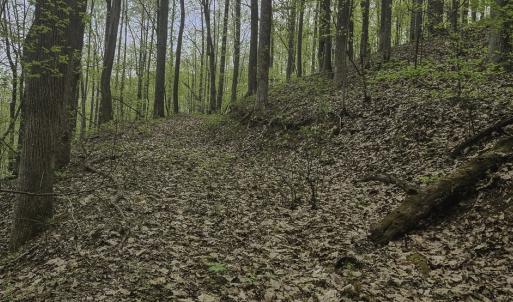 Photo #4 of Off Dots Dr, Charlottesville, VA 6.9 acres