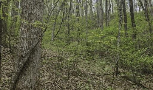 Photo #5 of Off Dots Dr, Charlottesville, VA 6.9 acres