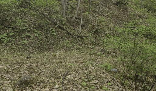 Photo #6 of Off Dots Dr, Charlottesville, VA 6.9 acres