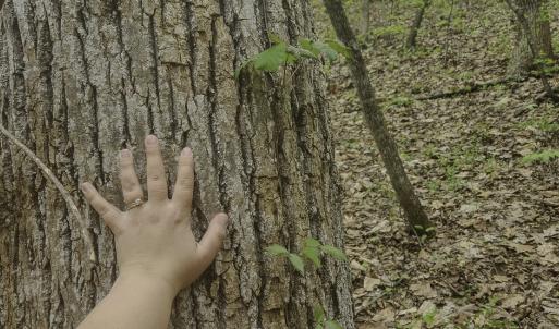 Photo #7 of Off Dots Dr, Charlottesville, VA 6.9 acres