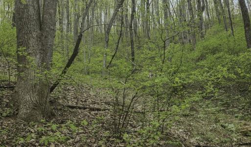 Photo #8 of Off Dots Dr, Charlottesville, VA 6.9 acres