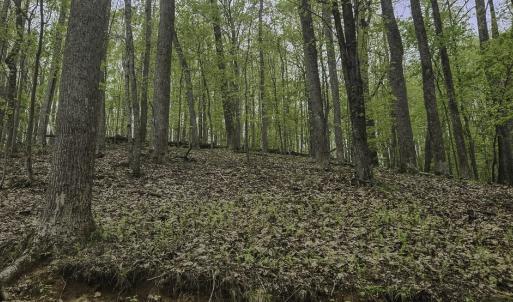 Photo #9 of Off Dots Dr, Charlottesville, VA 6.9 acres