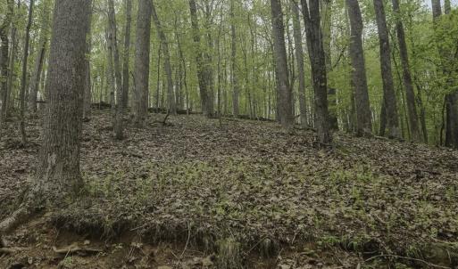 Photo #10 of Off Dots Dr, Charlottesville, VA 6.9 acres