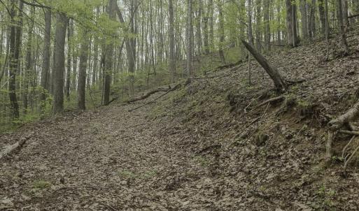 Photo #11 of Off Dots Dr, Charlottesville, VA 6.9 acres