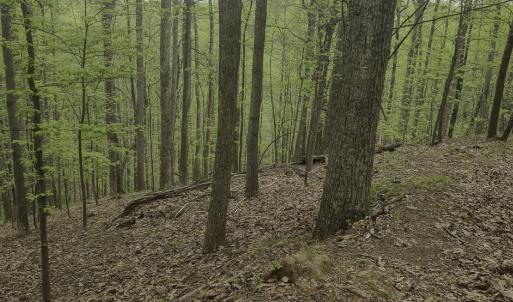 Photo #13 of Off Dots Dr, Charlottesville, VA 6.9 acres