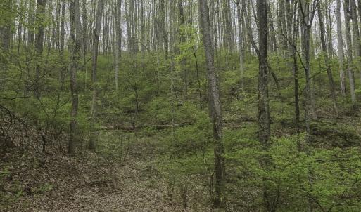 Photo #14 of Off Dots Dr, Charlottesville, VA 6.9 acres