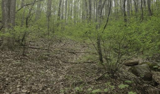 Photo #16 of Off Dots Dr, Charlottesville, VA 6.9 acres