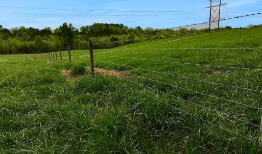 Photo #5 of Off Pashcall Rd, Warrenton, NC 39.3 acres