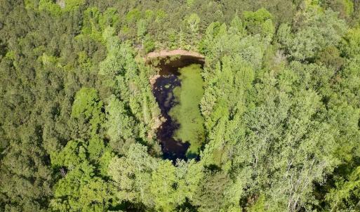 Photo #10 of SOLD property in Off US Hwy 220 Alternate, Ellerbe, NC 33.0 acres