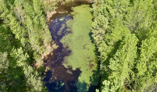 Photo #11 of SOLD property in Off US Hwy 220 Alternate, Ellerbe, NC 33.0 acres