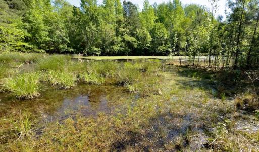 Photo #14 of SOLD property in Off US Hwy 220 Alternate, Ellerbe, NC 33.0 acres